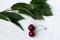 Fresh cherries on a branch with green leaves on a white background top view Royalty Free Stock Photo