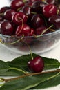 Fresh red cherries with green leaves in a bowl on a white background Royalty Free Stock Photo