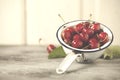 Fresh cherries Royalty Free Stock Photo