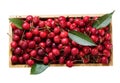 fresh cherries in a wooden box isolated on white background Royalty Free Stock Photo