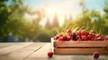 Fresh cherries in wooden crate on table and blurred organic farm on the background, mock up product display wooden board. Royalty Free Stock Photo