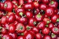 Fresh cherry ball peppers, pimento or red sweet chilli peppers sold at market