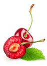 fresh cherry berries with green leaf Royalty Free Stock Photo