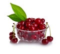 Fresh cherry berries with green leaf isolated Royalty Free Stock Photo