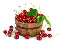 Fresh cherry berries with green leaf Royalty Free Stock Photo