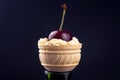 Fresh cherry berries in milk cream lie in a waffle basket. healthy food for breakfast. fruits of vegetation. fruit dessert Royalty Free Stock Photo