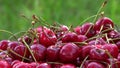 Fresh cherry berries rotating turntable clockwise shot. 4K