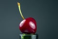 Fresh cherry berry with water droplets on a green bottle. healthy food for breakfast. fruits of vegetation. fruit dessert Royalty Free Stock Photo