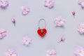 Fresh cherry blossom flowers and combination red heart-shaped luggage lock on pastel pink background