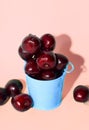 Fresh cherry in blue bucket on pink paper background. Fresh ripe cherries. Royalty Free Stock Photo