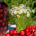 Fresh Cherry bottled cherry and daisy flowers on table in spring