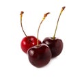 Fresh Cherry, Cherries isolated on white Background Royalty Free Stock Photo