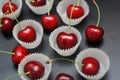 Fresh Cherry Fruit Health Vitamine in Cooking Bakery Cupcake Paper. Black Background Copy Space.