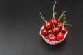 Fresh Cherry Fruit Health Vitamine in Cooking Bakery Cupcake Paper. Black Background Copy Space. Royalty Free Stock Photo