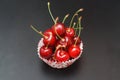 Fresh Cherry Fruit Health Vitamine in Cooking Bakery Cupcake Paper. Black Background Copy Space. Royalty Free Stock Photo