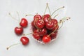Fresh Cherry Fruit Health Vitamine in Cooking Cupcake Paper. Isoalted Light Background. Selective Focus. copy space. Royalty Free Stock Photo