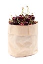 Fresh cherry fruit in a paper bag. Royalty Free Stock Photo