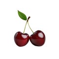 Fresh cherry fruits. Two ripe cherries with a twig and leaf isolated. Healthy diet. Vegetarian food