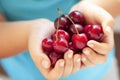 Fresh cherry in the hands of a girl Royalty Free Stock Photo