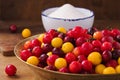 Fresh cherry plums Royalty Free Stock Photo