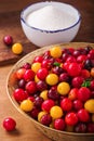 Fresh cherry plums Royalty Free Stock Photo