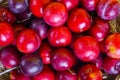 Fresh cherry plums. Vegetarianism. Top view. Close up Royalty Free Stock Photo