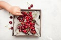 Fresh cherry splash, fruit appetizer