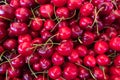 Fresh cherry stand at a street organic food market.