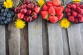 Fresh cherry, strawberry, blueberry and raspberry Royalty Free Stock Photo