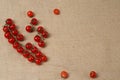 Fresh Cherry tomat lying on a sackcloth surface Royalty Free Stock Photo