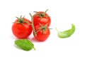 Fresh cherry tomato with basil leaves isolated.