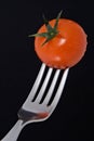 Fresh Cherry Tomato on a Fork Royalty Free Stock Photo