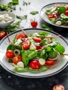 Fresh Cherry Tomato, Mozzarella salad with green lettuce mix and red onion. served on plate. healthy food. Royalty Free Stock Photo