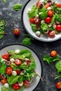 Fresh Cherry Tomato, Mozzarella salad with green lettuce mix and red onion. served on plate. healthy food. Royalty Free Stock Photo