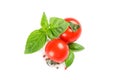 Fresh cherry tomatoes with basil and spices isolated on white background, top view Royalty Free Stock Photo