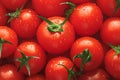 Fresh cherry tomatoes Close up with dewdrops, background texture, red hearts