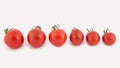 Fresh cherry tomatoes lie in a row from the largest to the smaller. Royalty Free Stock Photo