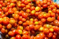 fresh cherry tomatoes in package Royalty Free Stock Photo
