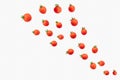 Fresh cherry tomatoes scattered diagonally on a white background, creating a minimalistic and visually striking pattern. Ideal for