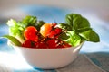 Fresh cherry tomatoes in a stylish white bowl Royalty Free Stock Photo