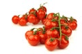 Fresh cherry tomatoes on the vine Royalty Free Stock Photo