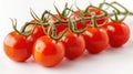 Fresh cherry tomatoes on vine with water droplets. Organic produce concept Royalty Free Stock Photo