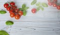 Fresh cherry tomatoes on white  wooden background. Tomato red vegetable concept, copy space for text with basil leaves Royalty Free Stock Photo