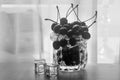 Ice cubes and cherries on the table.