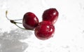 Fresh cherry wet healthy  dessert  a light background nutrition sweet Royalty Free Stock Photo