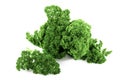 Fresh chervil / parsley on white background Royalty Free Stock Photo