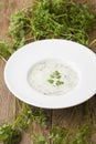 Fresh chervil soup in a bowl Royalty Free Stock Photo