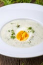 Fresh chervil soup in a bowl Royalty Free Stock Photo