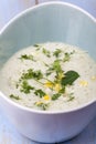 Fresh chervil soup Royalty Free Stock Photo