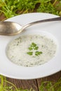 Fresh chervil soup Royalty Free Stock Photo